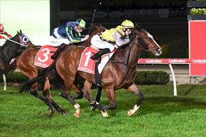 Chartres, Cranbourne May 2024 Chartres, Cranbourne May 2024